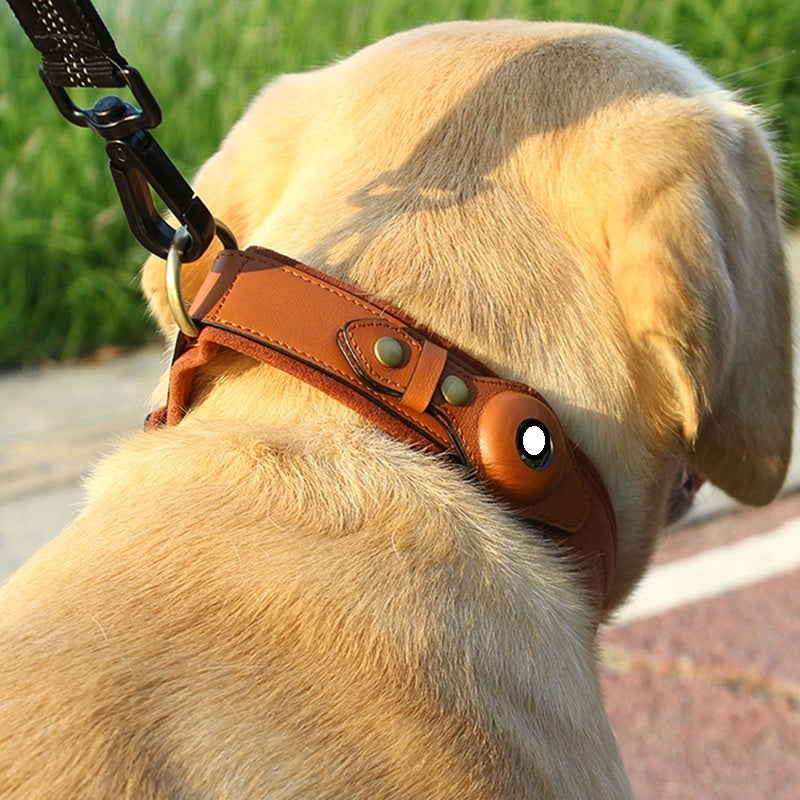Safety