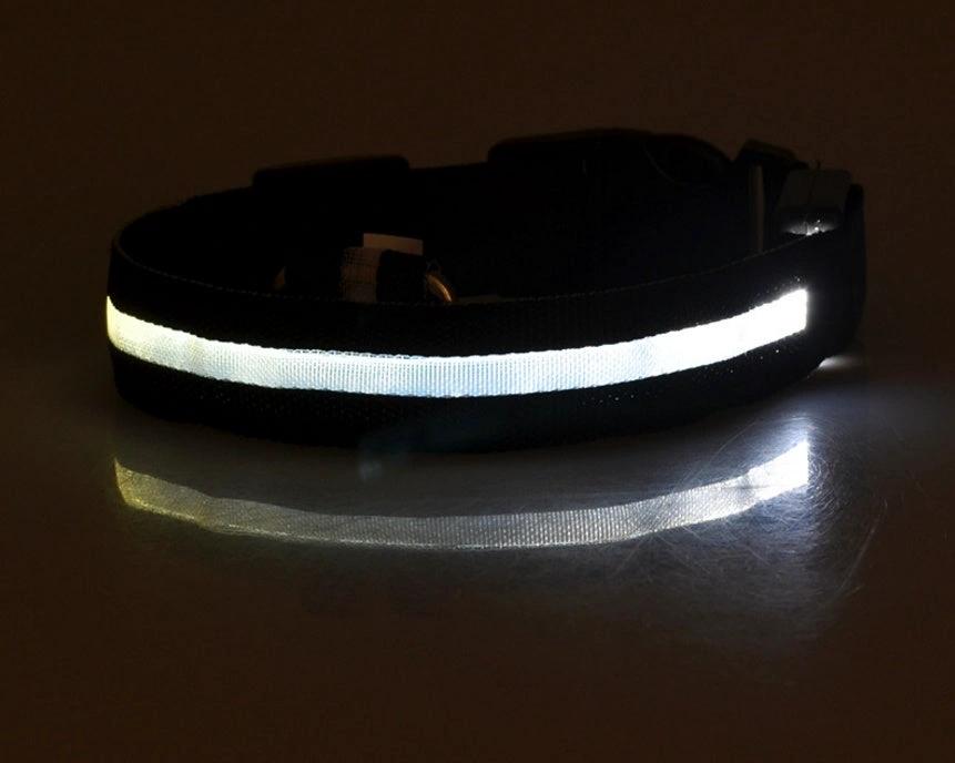 Glow-in-the-Dark LED Dog Collar – Adjustable Nylon Flashing Pet Collar for Night Safety for Dogs and Cats