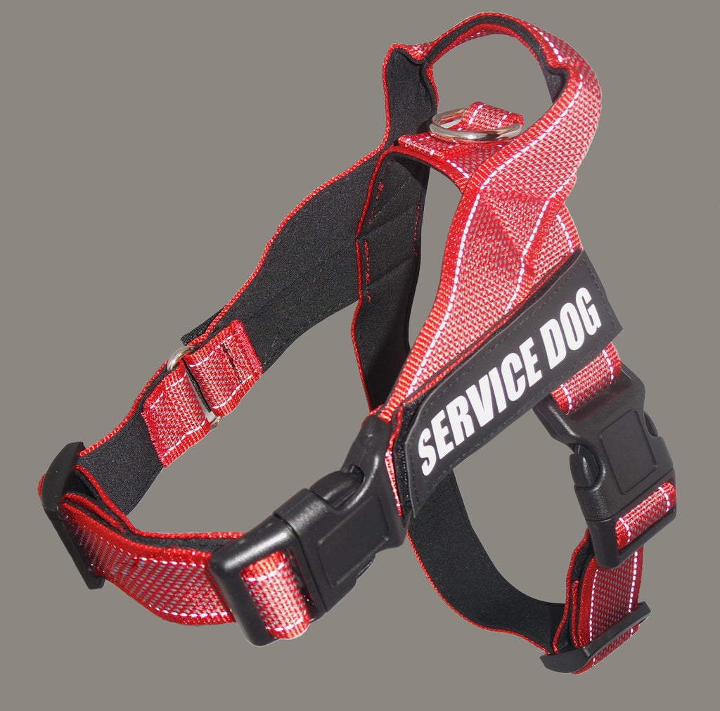 Custom Name Dog Harness – Adjustable Personalized Pet Harness