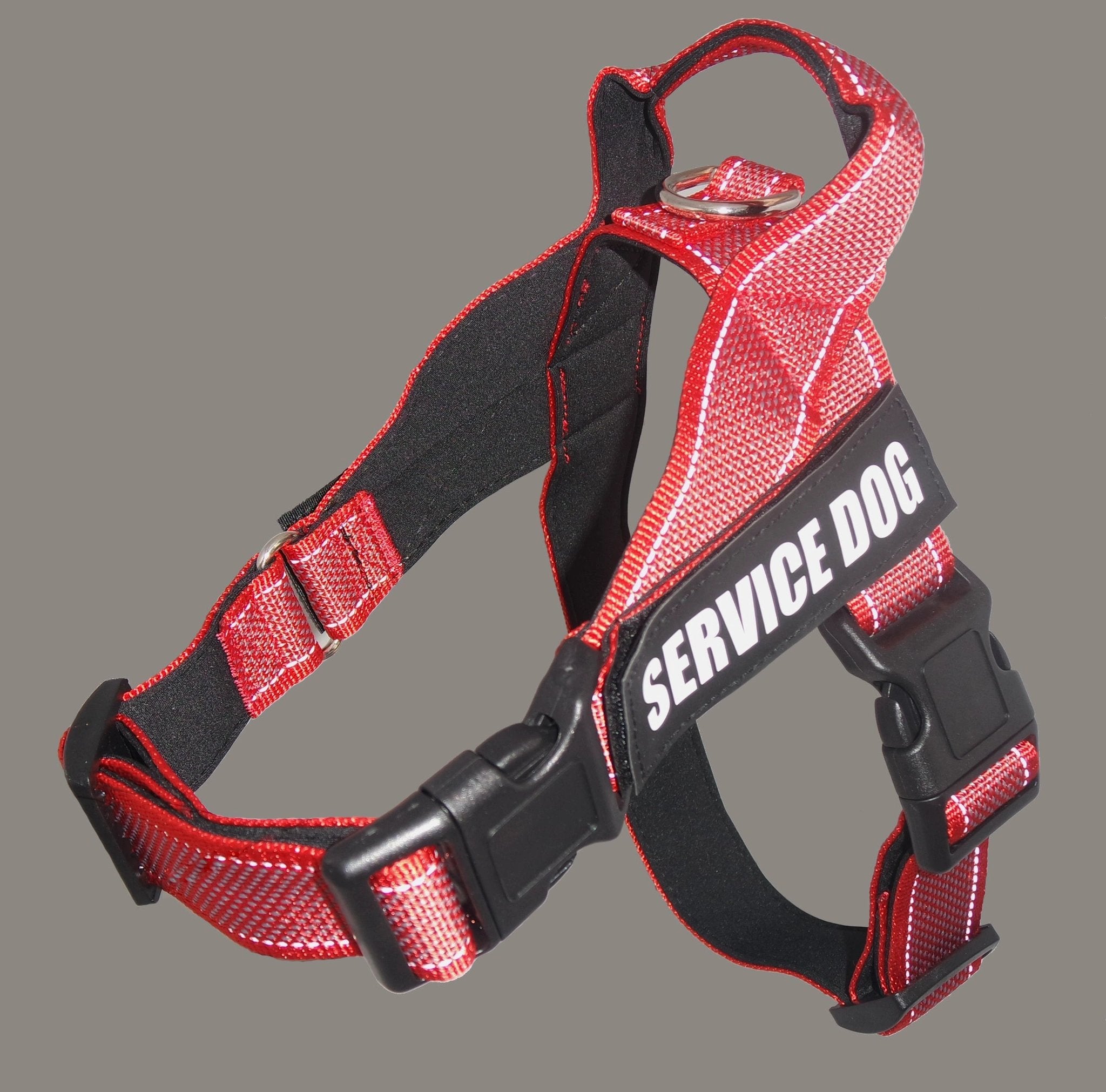 Custom Name Dog Harness – Adjustable Personalized Pet Harness