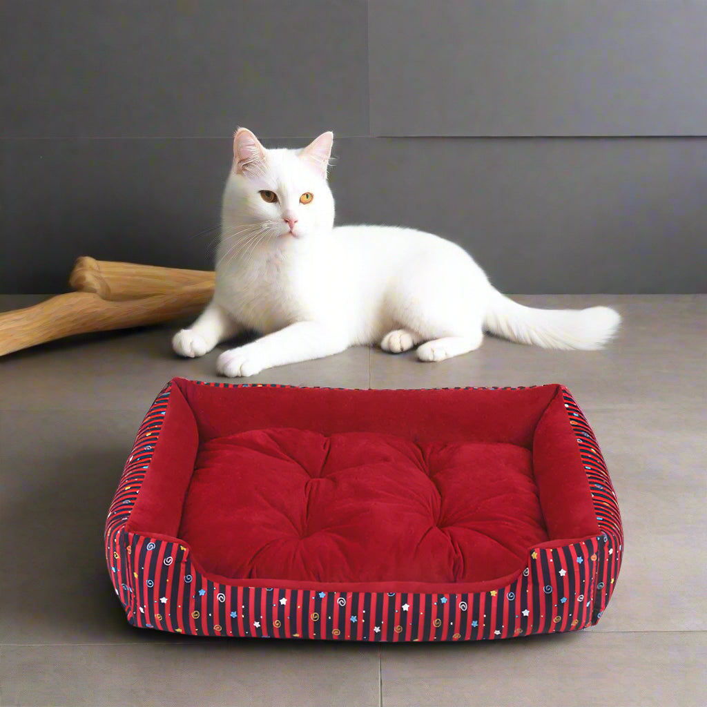 Comfy Cat & Dog Bed for Peaceful Naps