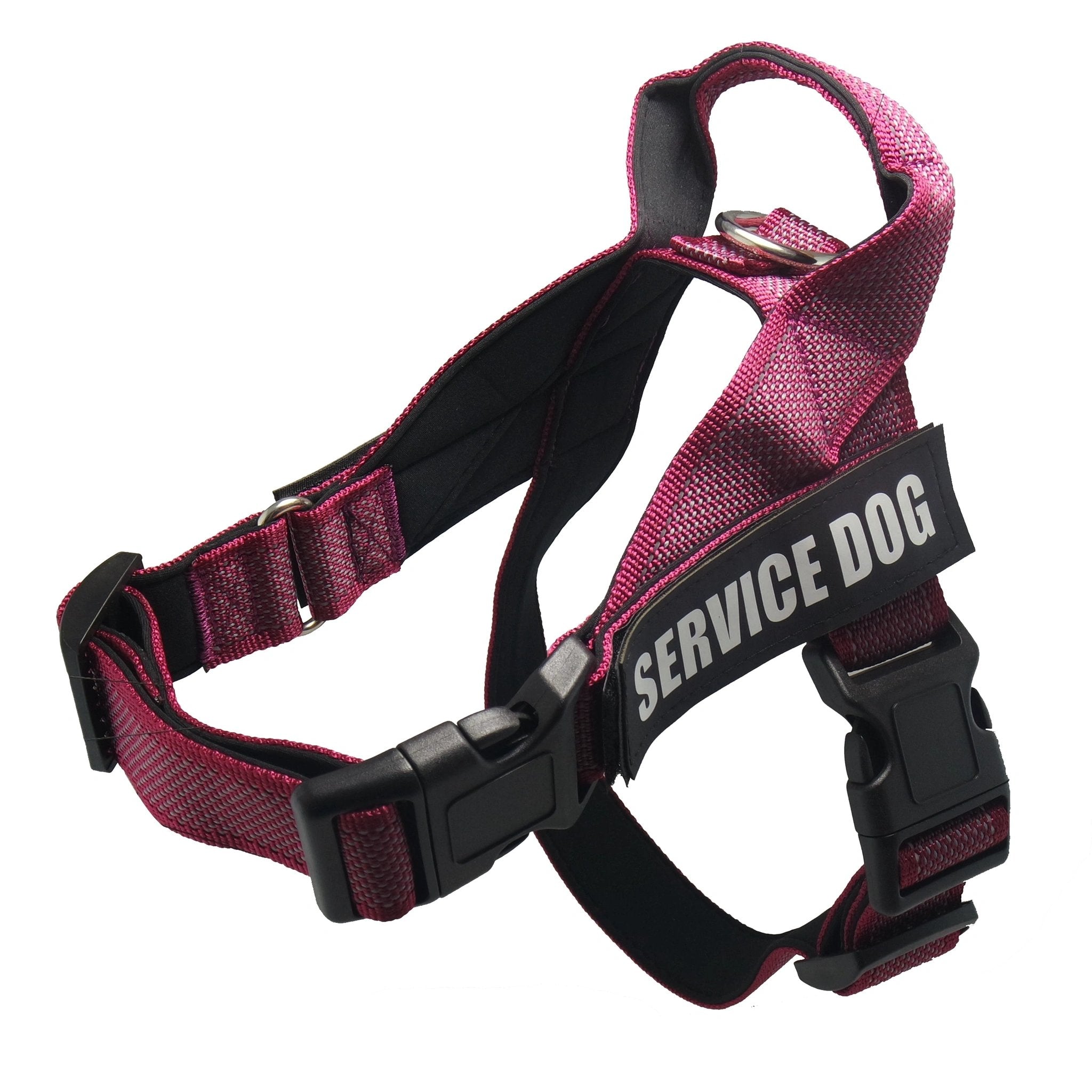 Custom Name Dog Harness – Adjustable Personalized Pet Harness