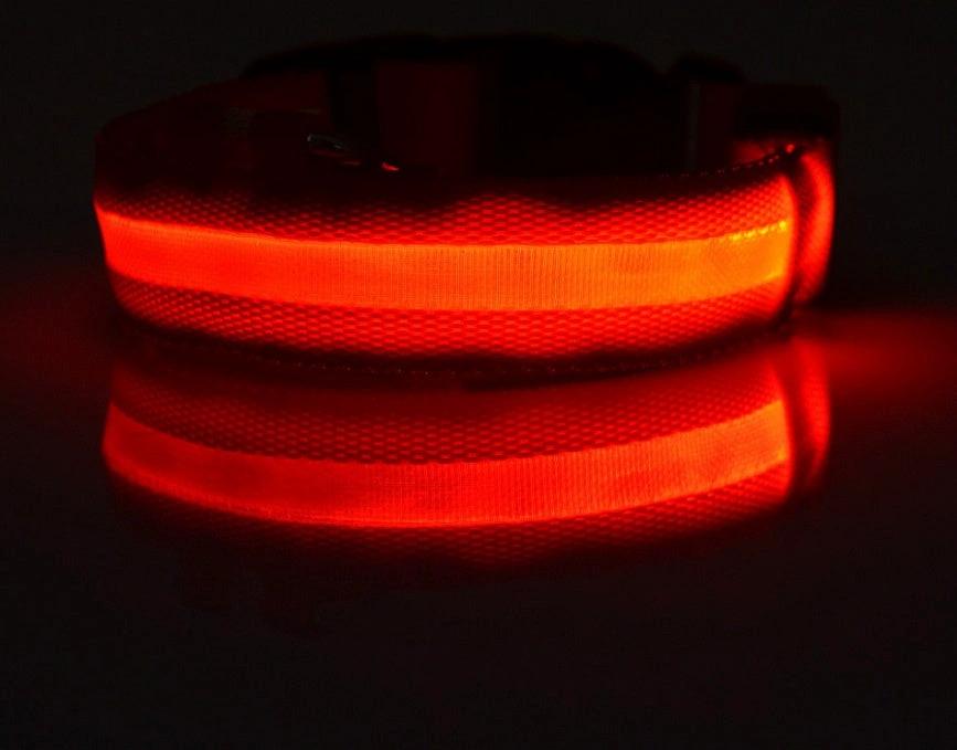 Glow-in-the-Dark LED Dog Collar – Adjustable Nylon Flashing Pet Collar for Night Safety for Dogs and Cats