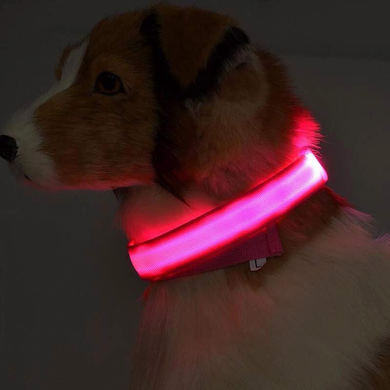 Glow-in-the-Dark LED Dog Collar – Adjustable Nylon Flashing Pet Collar for Night Safety for Dogs and Cats