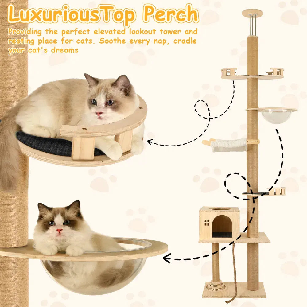 6-Level Adjustable Cat Tree with Scratching Posts, Transparent Capsule &amp; Hammock