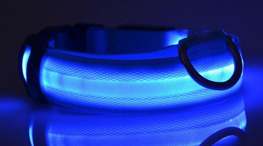 Glow-in-the-Dark LED Dog Collar – Adjustable Nylon Flashing Pet Collar for Night Safety for Dogs and Cats