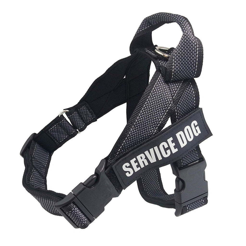 Custom Name Dog Harness – Adjustable Personalized Pet Harness