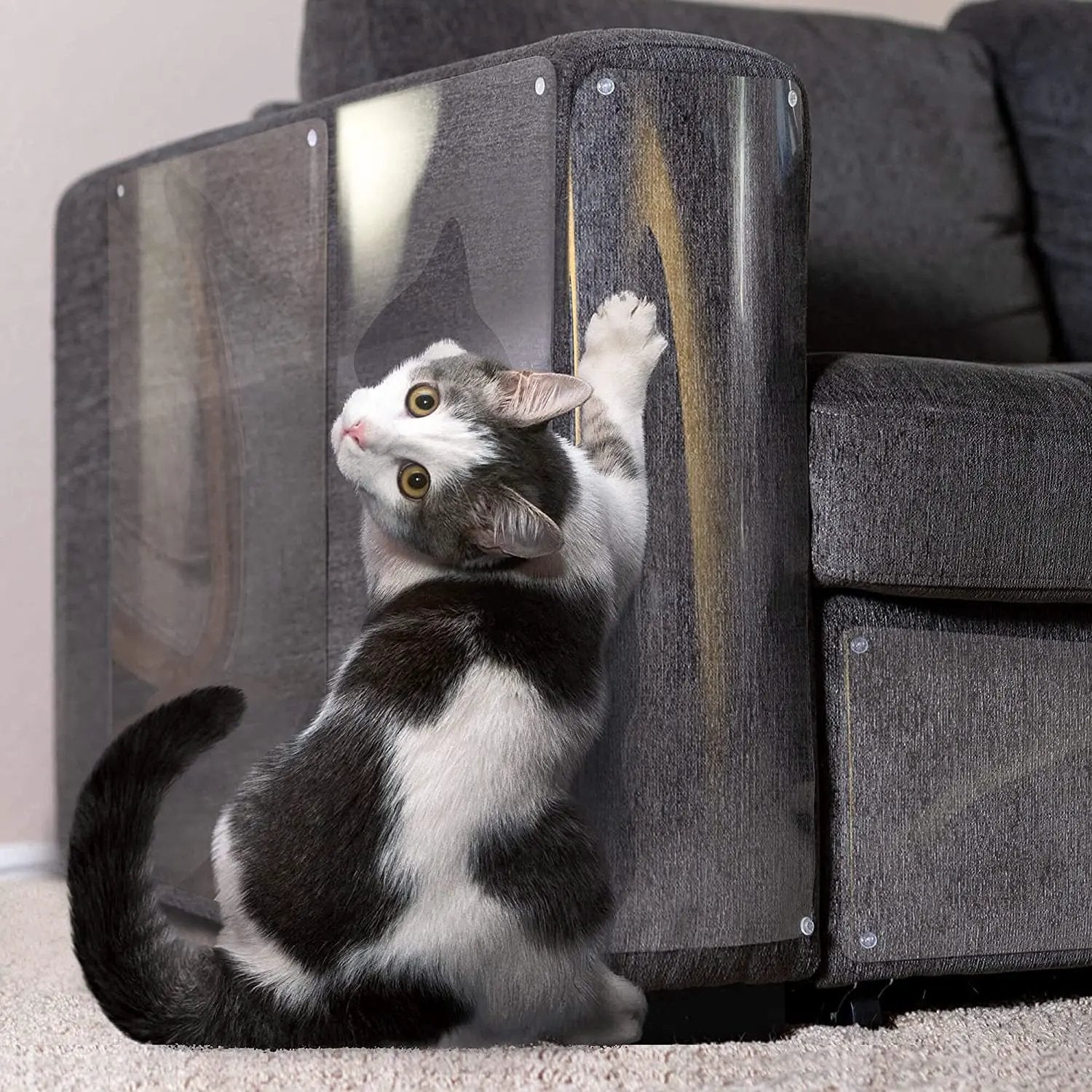 Transparent Single-Sided Anti-Scratch Protection Tape for Sofas and Furniture without compromising style.